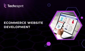 Ecommerce website development