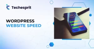 Wordpress website speed